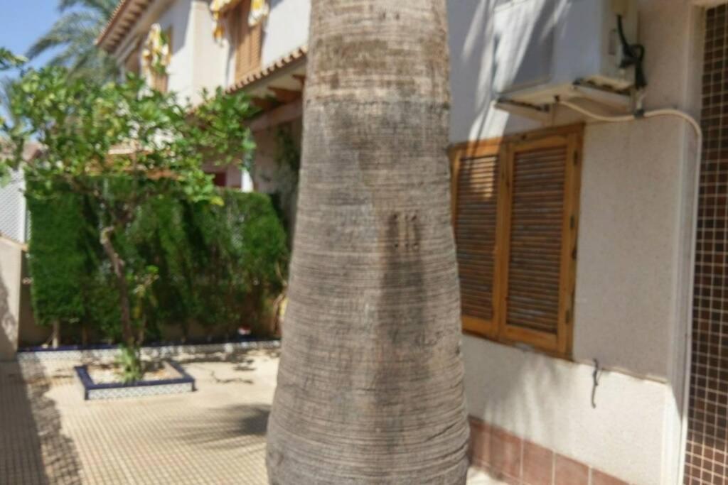 トレビエハLa Casa De La Palmeraアパートメント エクステリア 写真